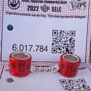 2022-BE FCI+talon....-8 lei