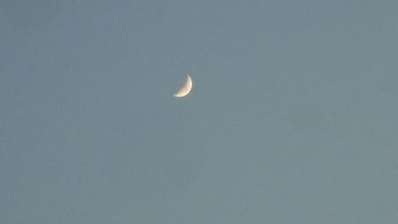 .... Luna in crestere in Taur; 8 mart. 2022

