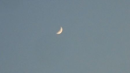 .... Luna in crestere in Taur; 8 mart. 2022
