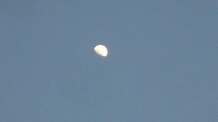 ... Luna in crestere in Rac; 12 mart. 2022
