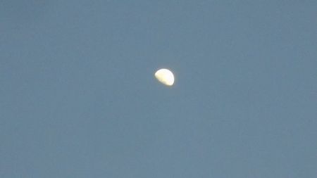 ... Luna in crestere in Rac; 12 mart. 2022
