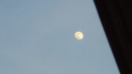 ... Luna in crestere in Leu; 15 mart. 2022

