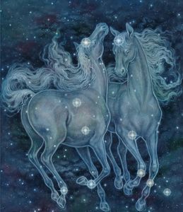 ♊