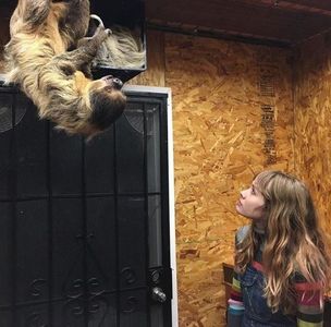 not until you apologize — for real this time.