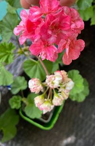 C78940A1-1F06-412D-B1A0-B2B231F944E2