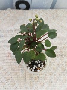 17 apr