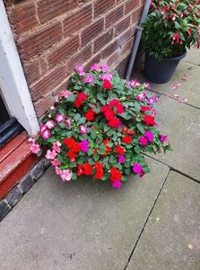 received_701012304683825