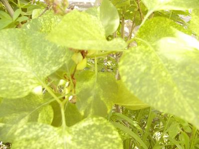 P1370604