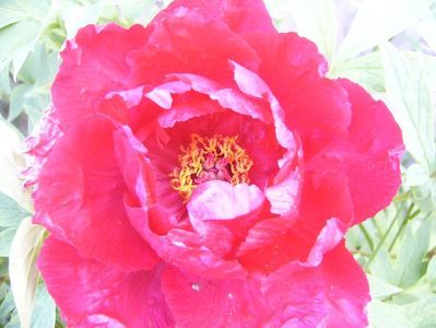 P1370632