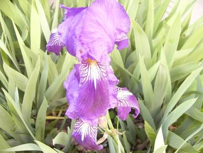 P1370638