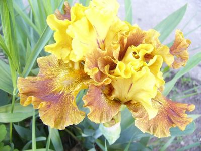 P1370647