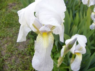 P1370658