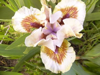 P1370684