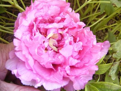 P1370688