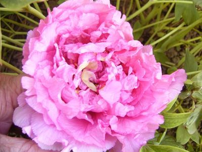 P1370690