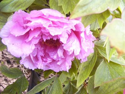 P1370693