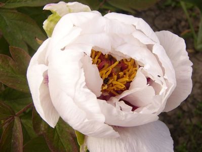 P1370702
