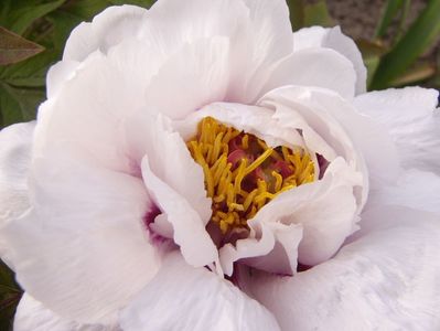 P1370704