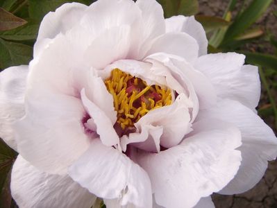 P1370705