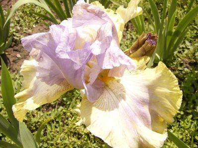 P1370775