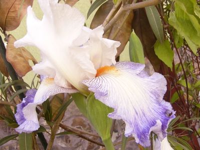 P1370804