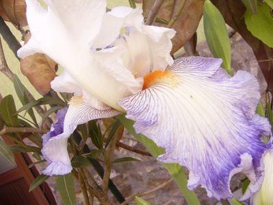 P1370805