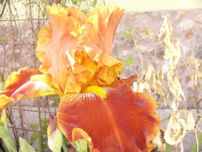 P1370810