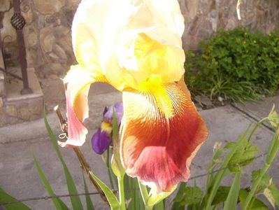 P1370826