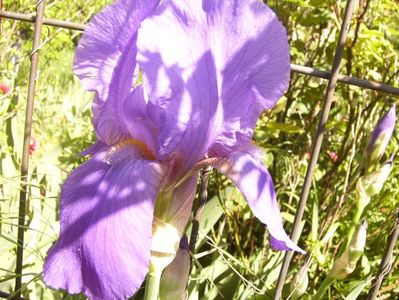 P1370828