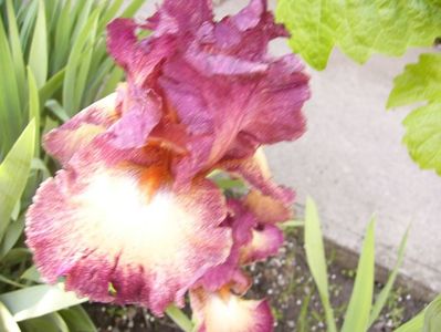 P1370834