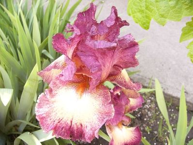 P1370839