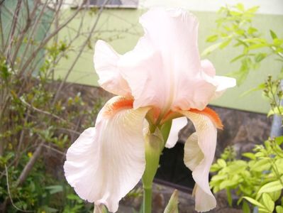 P1370859
