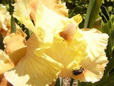 P1370866