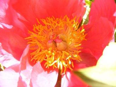 P1370879