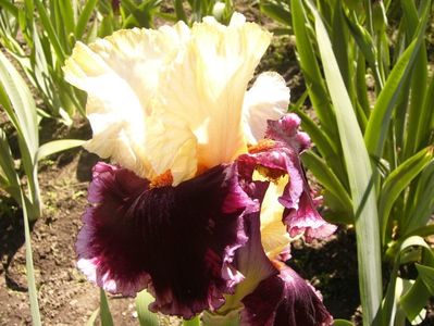 P1380022