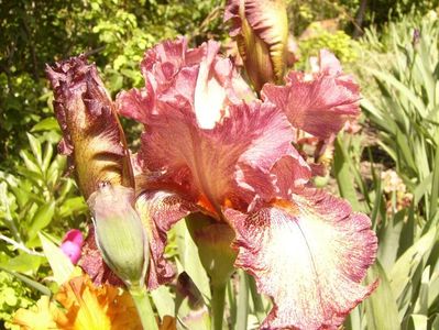 P1380040