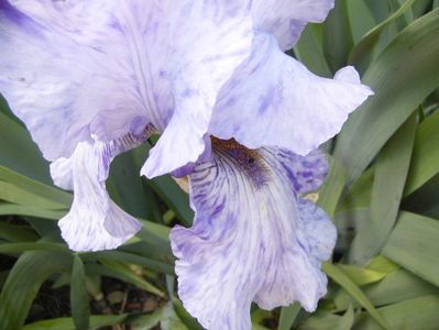 P1380041
