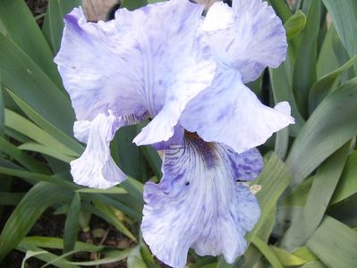 P1380045