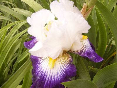P1380051