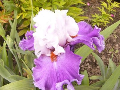 P1380056