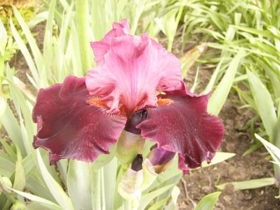 P1380059