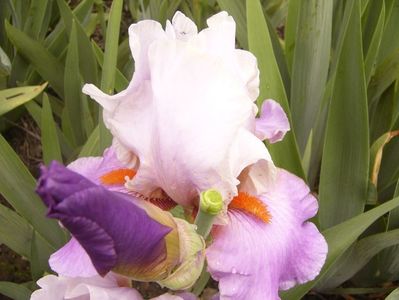 P1380063