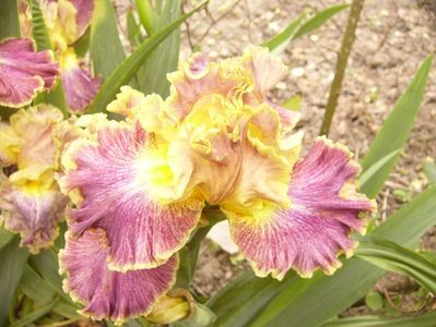P1380071