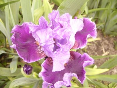 P1380080