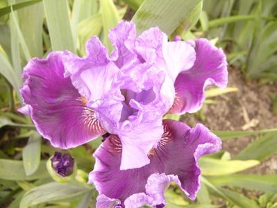 P1380081