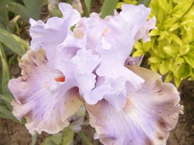 P1380639