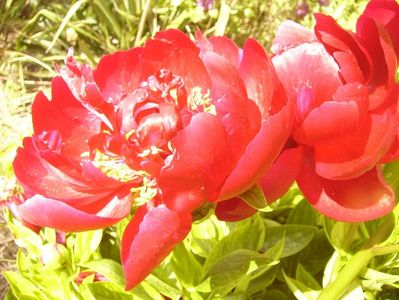 P1380700