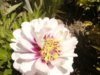 P1380719