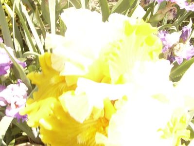 P1380723
