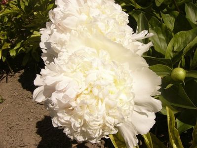 P1380726